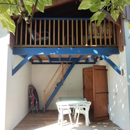 Maison Sous Les Arbres